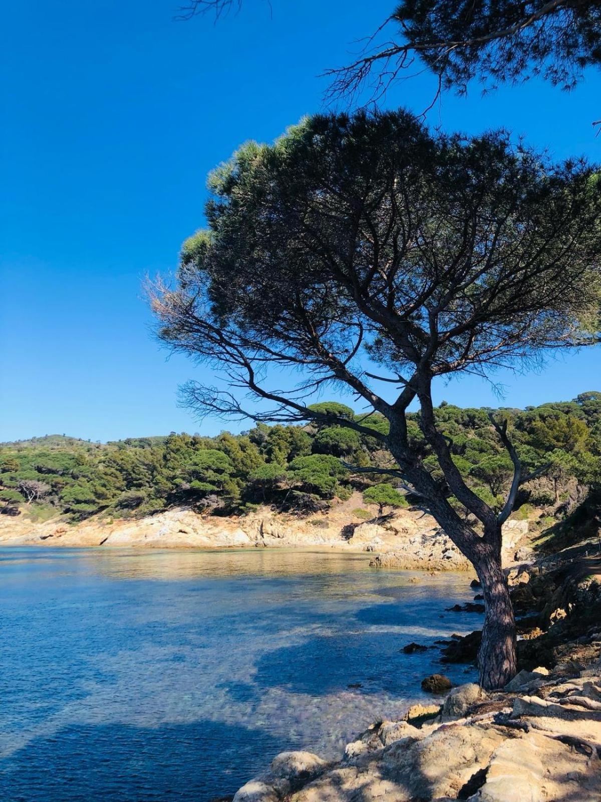 Studio Pool House Vue Mer Panoramique Amazing Sea View Wifi Linge Linen Inclut Aircondition La Croix-Valmer Exterior foto